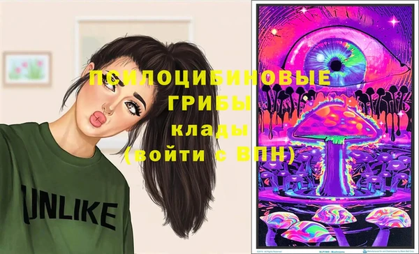 mdma Кукмор