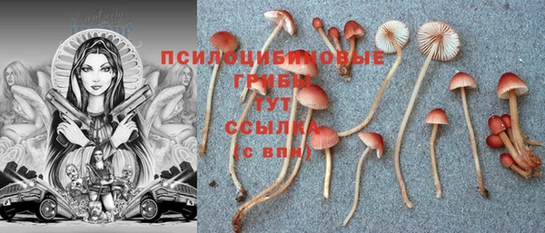 mdma Кукмор