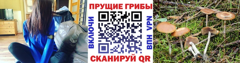 Псилоцибиновые грибы мухоморы  цены наркотик  Малаховка 